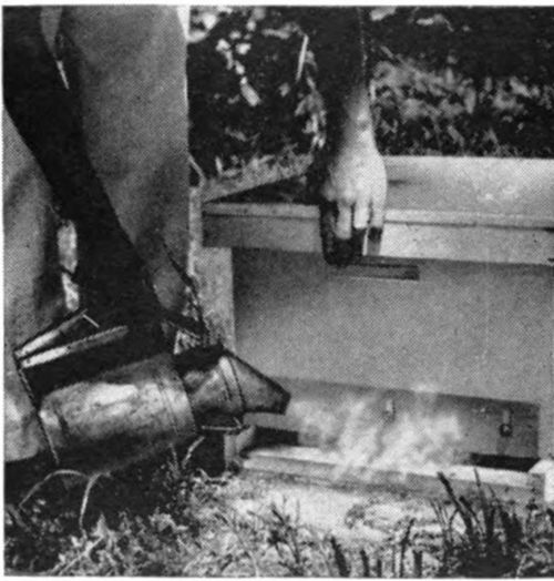Beekeeping Equipment 10