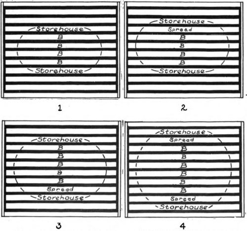 Diagram of expanding the brood nest. With four fairly well filled brood combs flanked by stores in fruit bloom, one empty comb is moved in; a week later another is moved in, and about 10 days later two empty combs are moved in as diagramed.