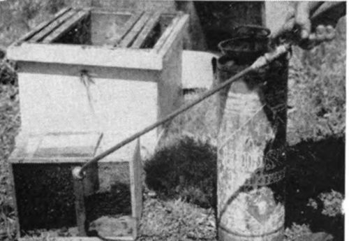 Wet the bees thoroughly with warm water. This can be done with a chemical of hand sprayer, or you may dip a large paint brush in a bucket of warm water and sprinkle the water on the bees. This wetting prevents the bees from flying.