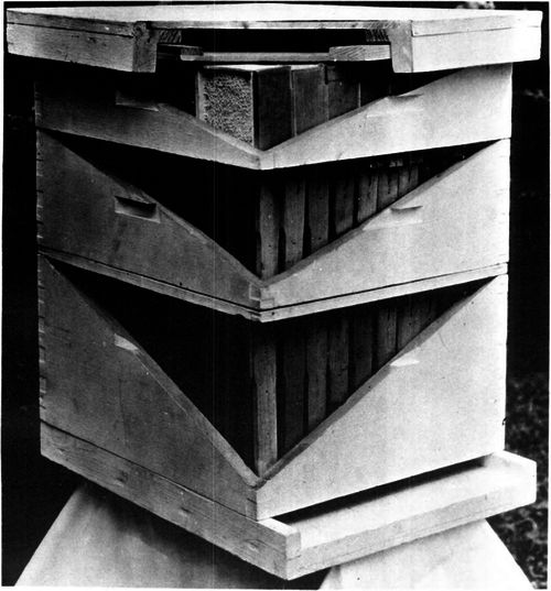 Beehive cutaway to show interior and placement of movable frames: Bottom, full depth hive body; middle and top, shallow hive bodies.