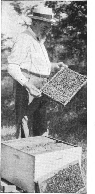 C. P. Dadant Veteran Editor in Chief of American Bee Journal