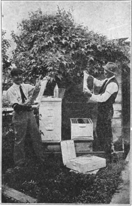 Making an Examination