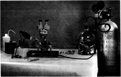Complete insemination equipment, showing manipulating apparatus under microscope with queen in place ready for injection of semen, jar for giving additional carbon dioxide treatments, and carbon dioxide cylinder with pressure regulator attached.