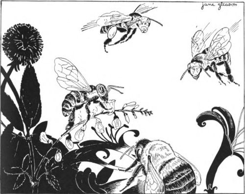 A Honey Gatherer, a Pollen Carrier, and a Bumble Bee at Work
