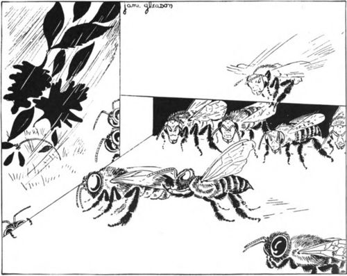 In the Fall the Workers Drive the Drones out of the Hive