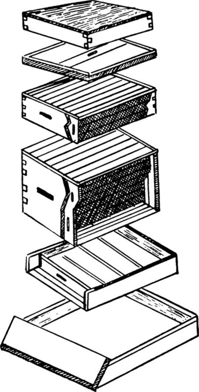 The Hive Looks like a Box of Drawers.