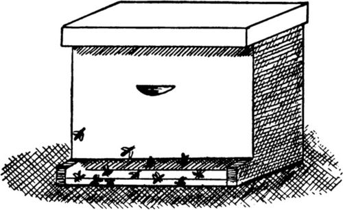 There are Worker Bees on Guard against Enemies.