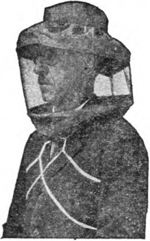 Bee Veil
