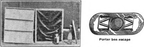 Equipment used for taking off honey. At the left is a screen as it appears from the bottom. Next is a top view of a similar screen. The tall bottle contains carbolic acid diluted with water ready for use and the short bottle contains a supply of undiluted acid.