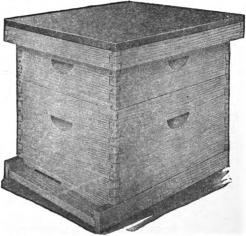 Standard Hive with Shallow depth or Full depth Super is a Food Chamber Hive.