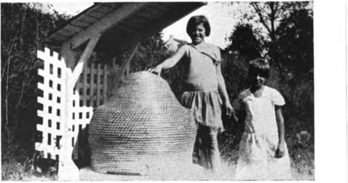 A Straw Hive, Or Skep
