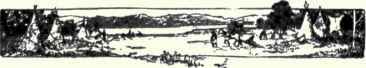 614 Tree Swallow White Bellied Swallow Iridoprocne 1230
