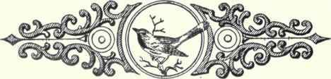 662 Blackburnian Warbler Dendroica Fusca 1338