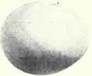 Bluish white