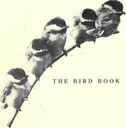 The Bird Book