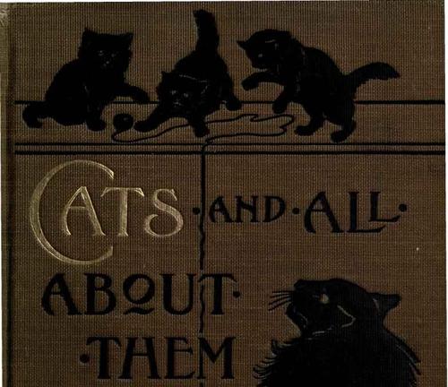 Cats And All About Them