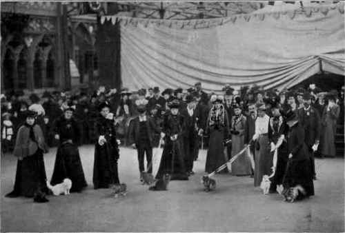 Judging In The Ring At The Crystal Palace