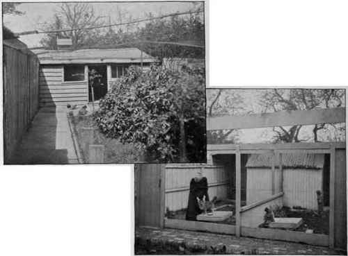 Mrs. Wells' Cattery