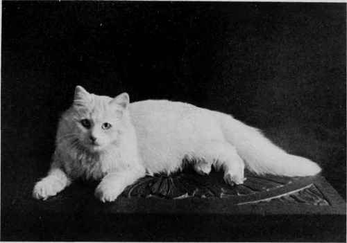 Polar Star (age 6 months).