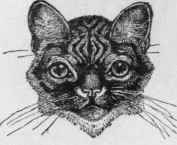 Our Cats And All About Them 4