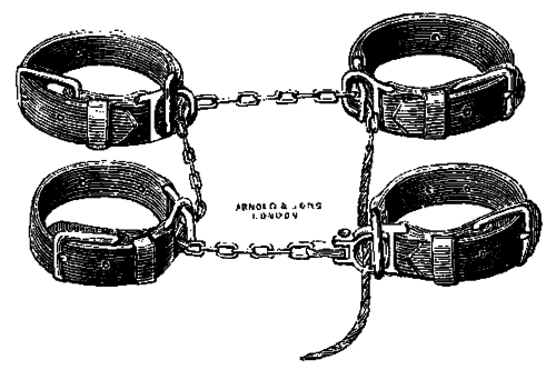 Fig. 42. Casting Hobbles