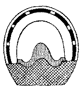 Fig. 70. The Bar, Pad Applied With A Half Shoe