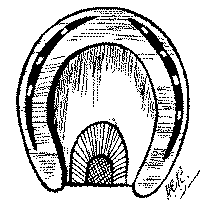Fig. 72. Frog Pad Applied