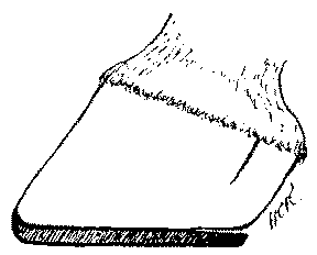 Fig. 93. The Bearing 'Eased' By 'Springing' The Heel Of The Shoe