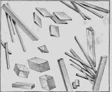Haemoglobin Crystals from the Blood.