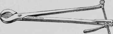 Tooth Shears.