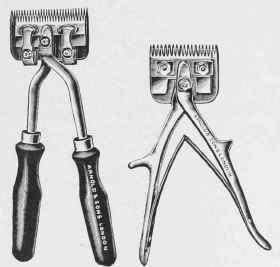 Horse clippers.