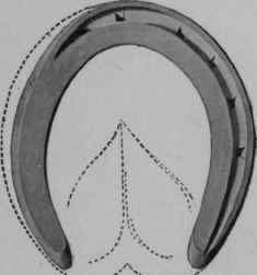 Shoe to remedy cutting.