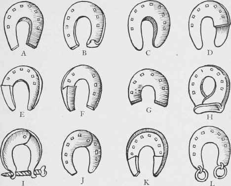 Divers Shapes of Shoes.