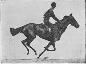 Equilibrium in the Gallop.