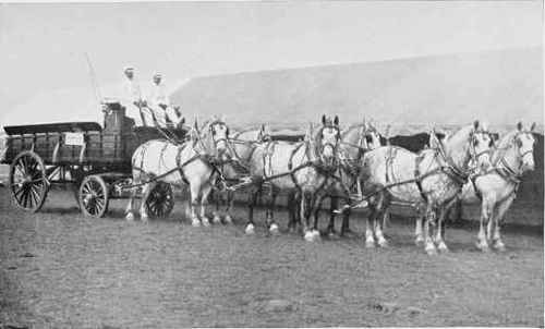 PLATE LXV1II. MR. ARMOUR'S TEAM OF DAPPLED GREYS.