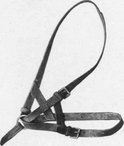 Foal's Head collar (oft side view).