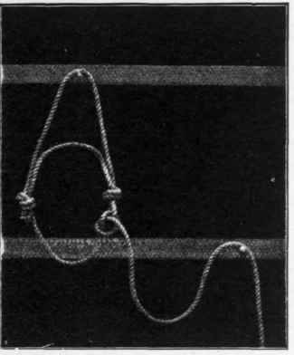 Improvised halter, with knot on leading rope, so as to prevent it running.
