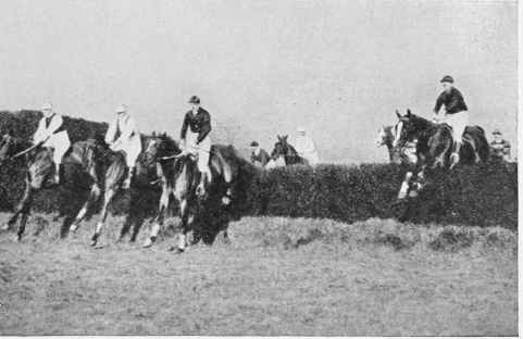 Fig. 4. Horses Landing Over A Fence