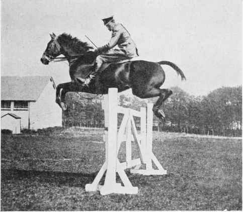 Fig. 5. Schooling Over A Gate Without Wings