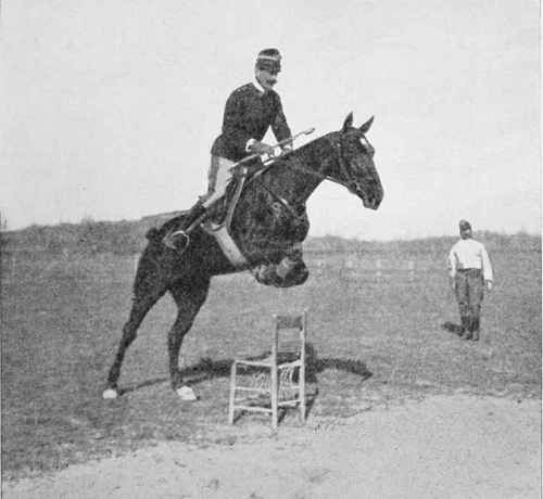 Fig. 7 - Schooling without wings is carried to a fine art in Italy.