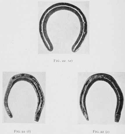 Fig. 22 - Shoes For Hunting Or Schooling Young Horses