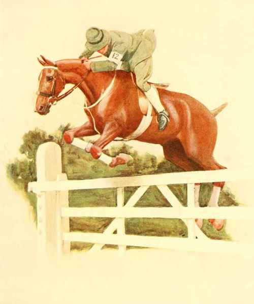 The Exaggerated Seat - Show Jumping: The Gate