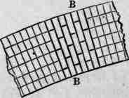 Bonding Rings In Pairs 20043