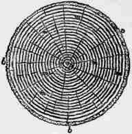 Characteristics Of Good Timber 200315