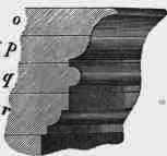 Different Forms Of Bricks 30022