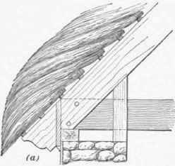 Thatching 243