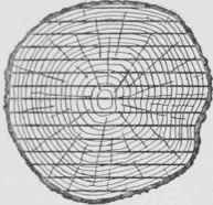 Fig. 14. Method of Slicing a Log