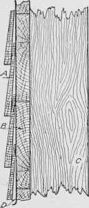 Fig. 273. Section Showing Method of Laying Clapboards