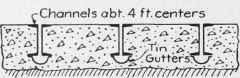 Lonqitudinal Section