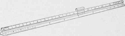 Fig. 4. Triangular Boxwood Scale, with Scale Guard or Clamp in Position